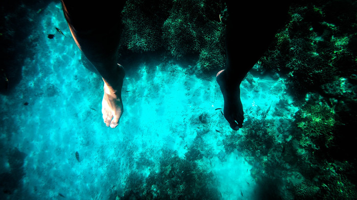 美娜多潜水圣地,印尼美娜多海豚潜水