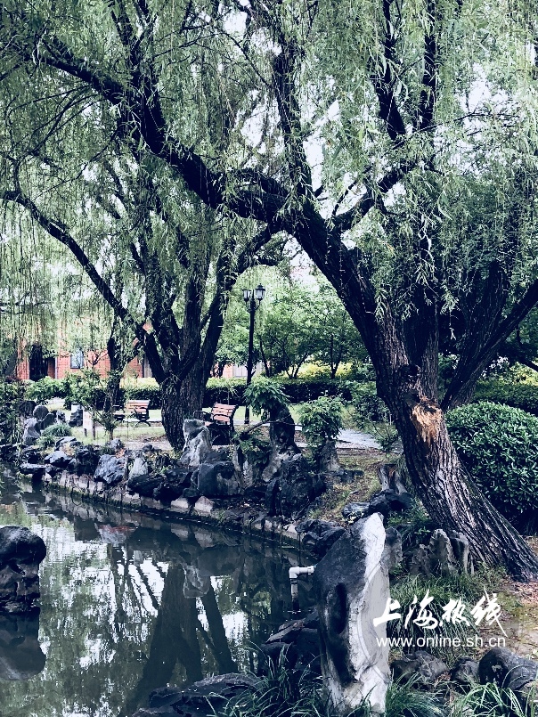 绿树成荫景色宜人清新空气,绿树成荫环境优美空气清新