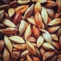 菲律宾坚果特产 (菲律宾腰果干果)