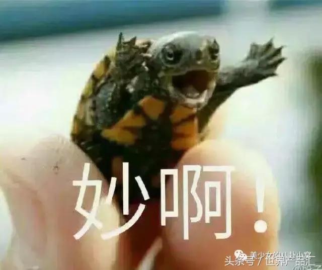 无防晒霜,无防晒霜怎样变白