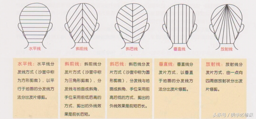 剪发的修剪技巧视频,剪发技巧梳理发型