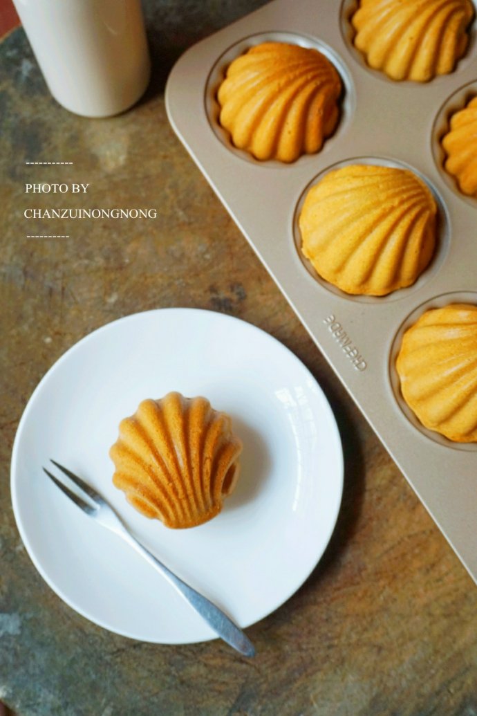 追忆似水年华玛德琳,追忆似水年华玛德莲娜