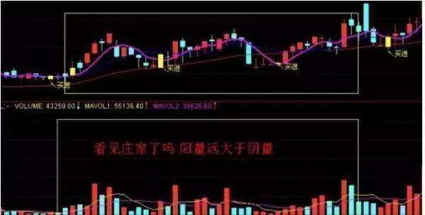 中国股市迷途中的股民,股市惨烈时股民应该如何应对