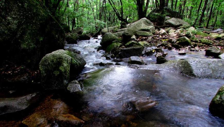 南阳市哪个景区门票便宜,南阳各个景点门票价格