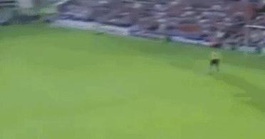 这些年我们追过的男明星,这些年我们追过的男神