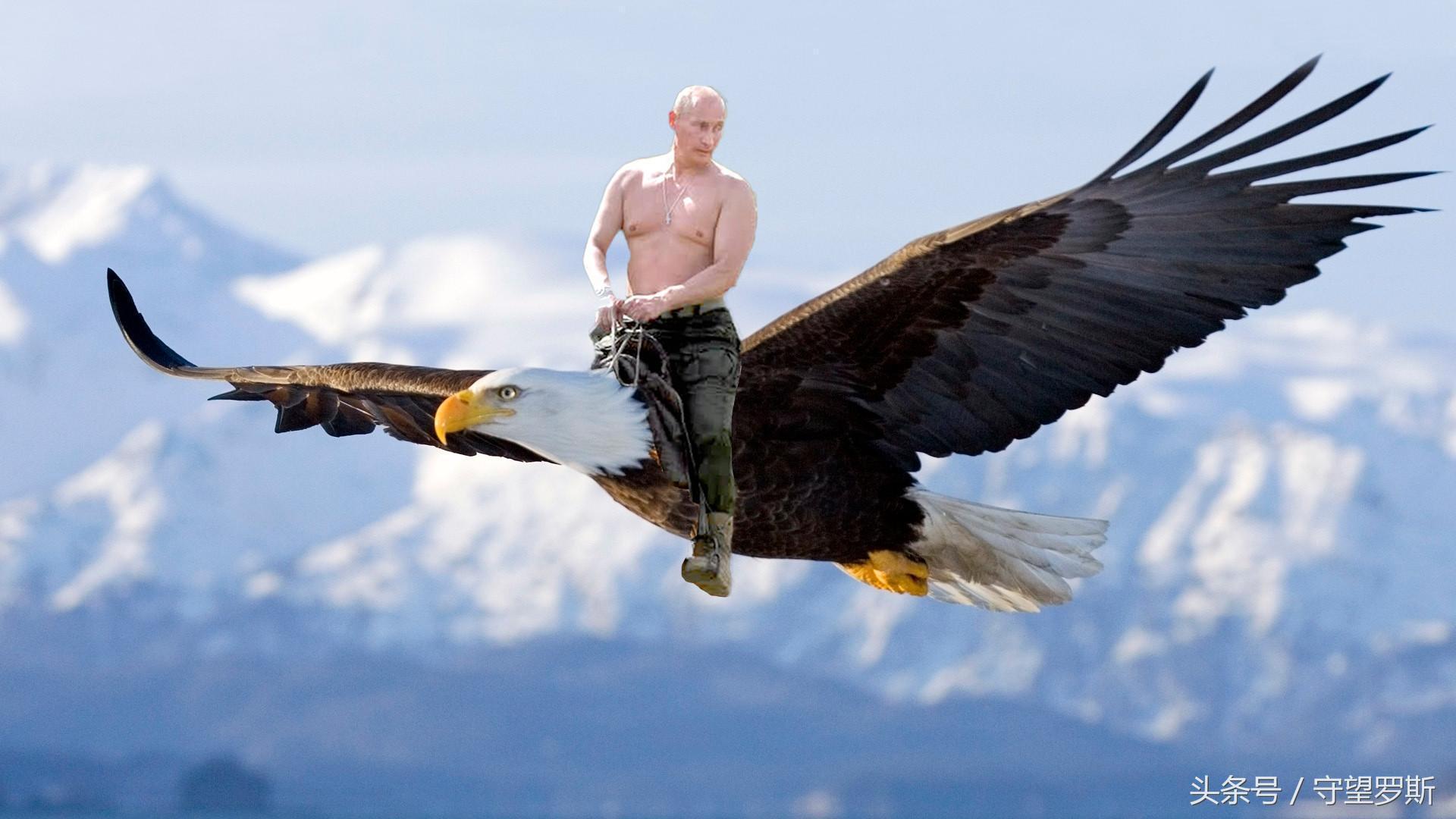 普京被采访照片,普京面对镜头照片