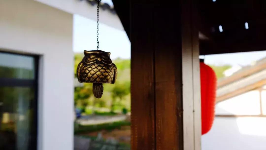 南京不老村，这个画得了插画、种得了花的萌大叔，亲自打造一个家