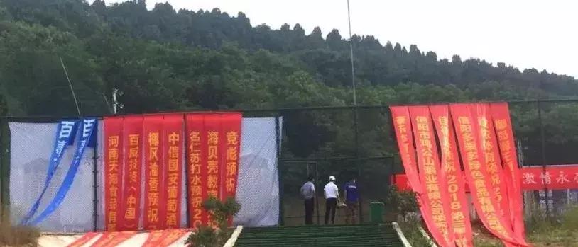 信阳市杯足球赛事,第一届豫南足球公开赛军安杯