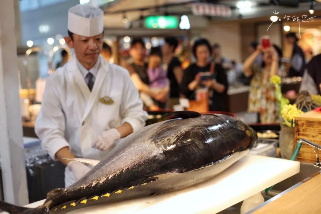 日本的哪个地方中国人不能去,日本什么地方很多中国人
