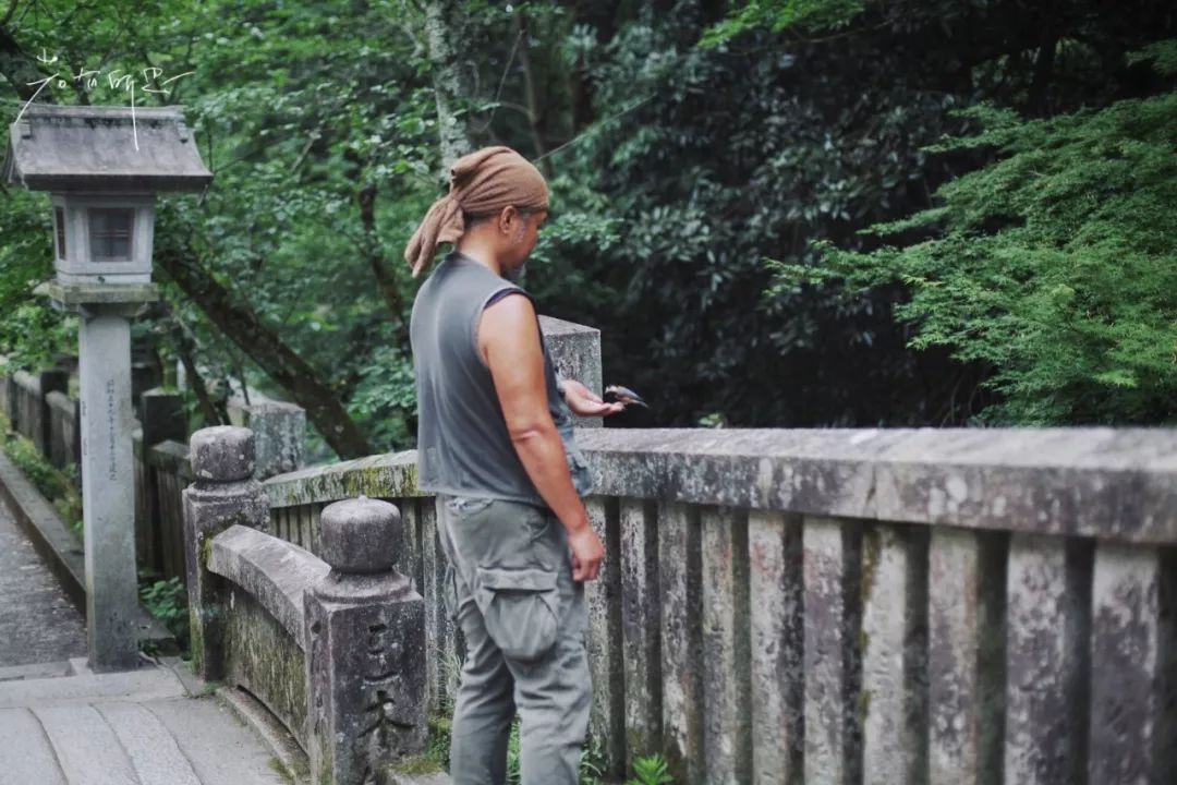 日本的这个地方，很少有中国游客，超级文艺治愈系！