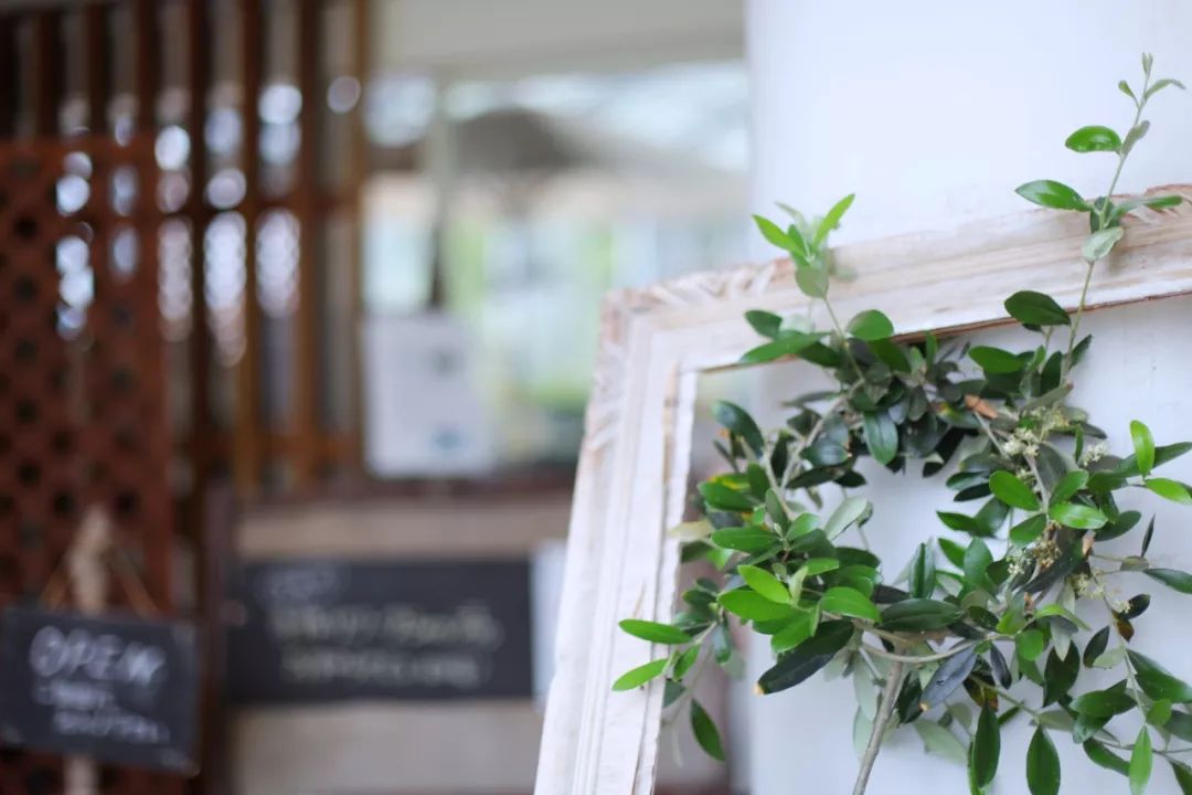 日本的这个地方，很少有中国游客，超级文艺治愈系！