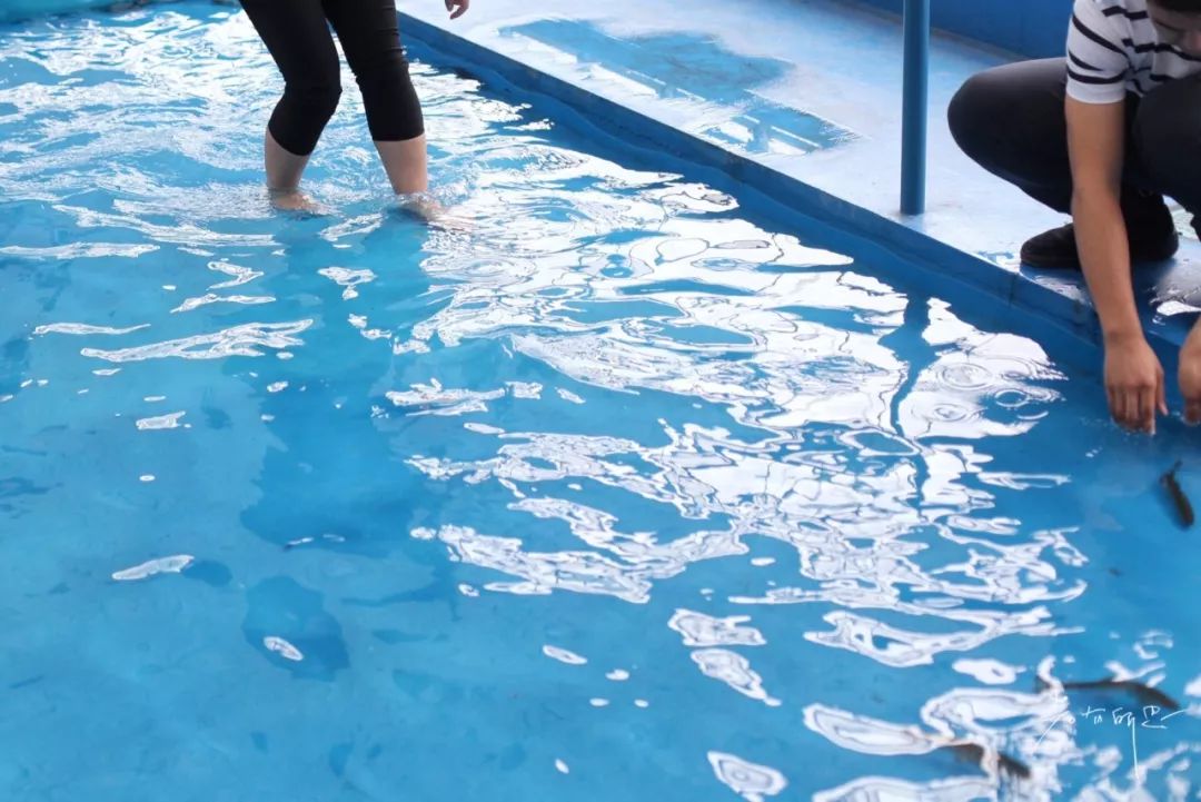 日本的这个地方，很少有中国游客，超级文艺治愈系！