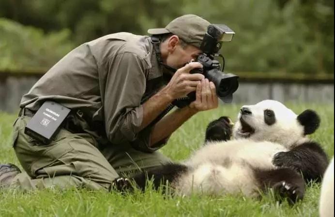 真相只有一个！解谜最适合软妹的男友力三脚架