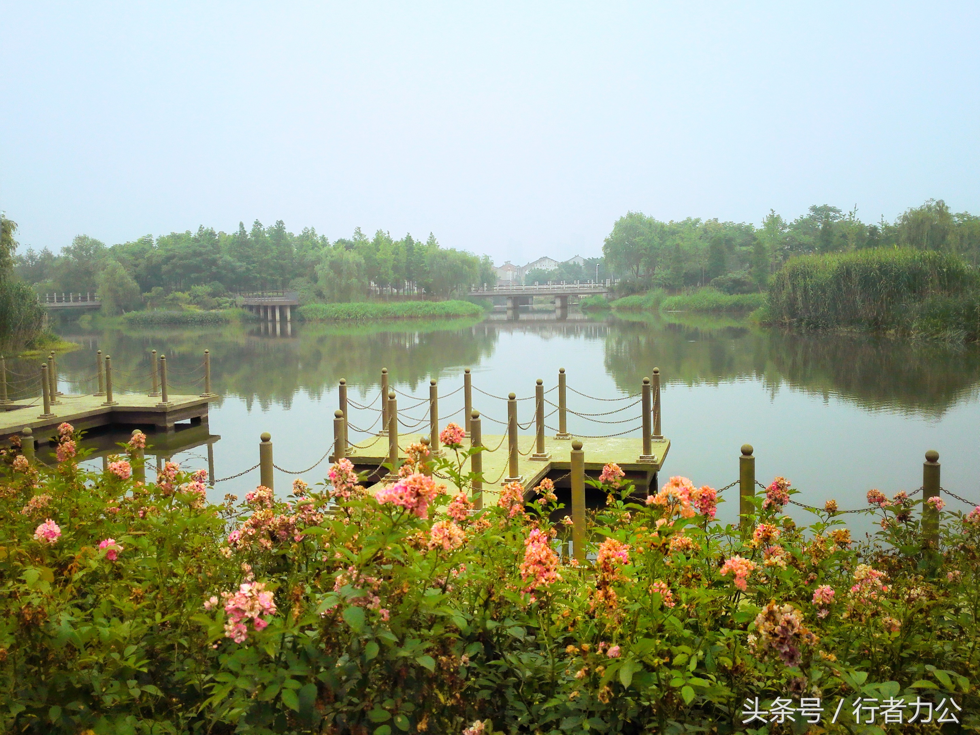 尚贤河湿地公园攻略,尚贤河湿地景点