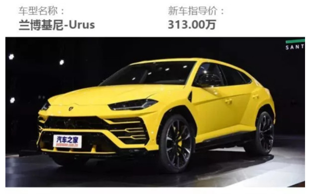 只要20万！“*博兰**基尼SUV”开回家，全村人都围观！