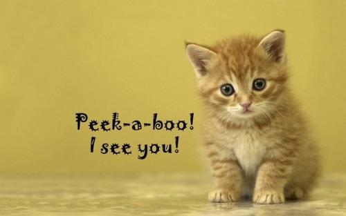 小学英语谚语100句简短的,英语俗语谚语常用语