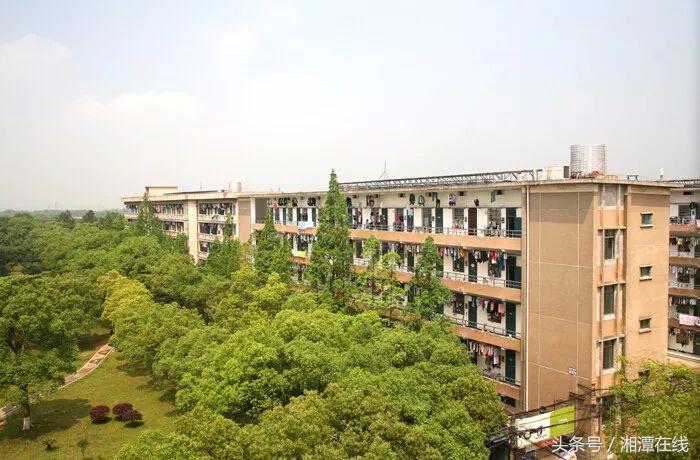 湘大采访,湘大不说再见