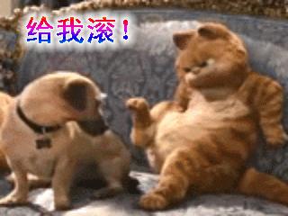 你给我滚出来表情包搞笑图片,给我滚表情图