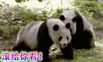 给我滚——骂出幽默的搞笑动图文字表情包