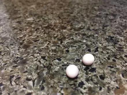 网友买火龙果，打开后发现了两枚蛋，回家后孵出小宠物！