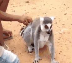 安慰自己不生气的诗,关于不要生气的诗