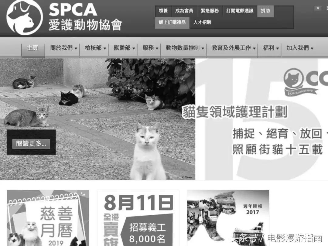 有姑娘出20w让我去香港找条狗，绑匪说：要30w——我Tony还亏了6W