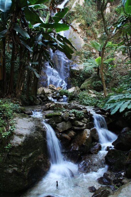 最美樱花温泉,樱花谷泡温泉价目表