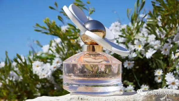 marcjacobs小雏菊20毫升,marcjacobs小雏菊怎么样