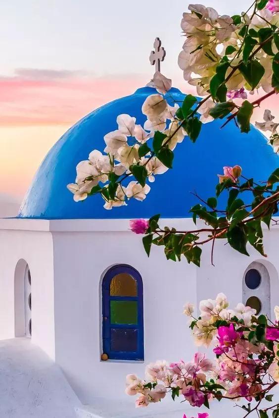 瑞博自己的院子,瑞博院子图片