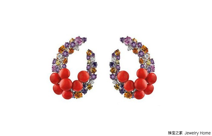 红珊瑚和阿卡沙丁哪个好,阿卡沙丁momo区别