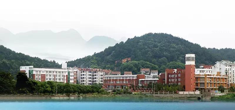 应试教育、素质教育水火不容？武汉这所学校交出完美答卷