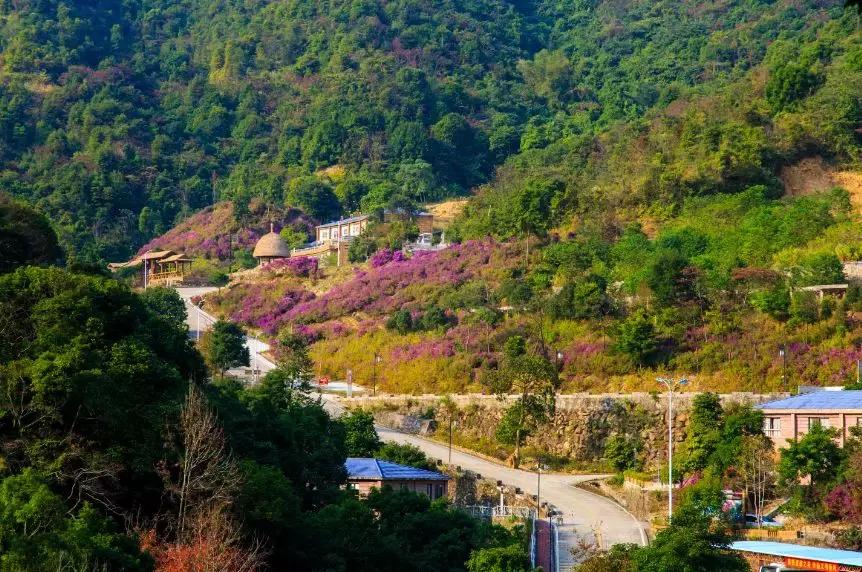 惠州小镇旅游景点推荐,惠州旅游景点小镇推荐