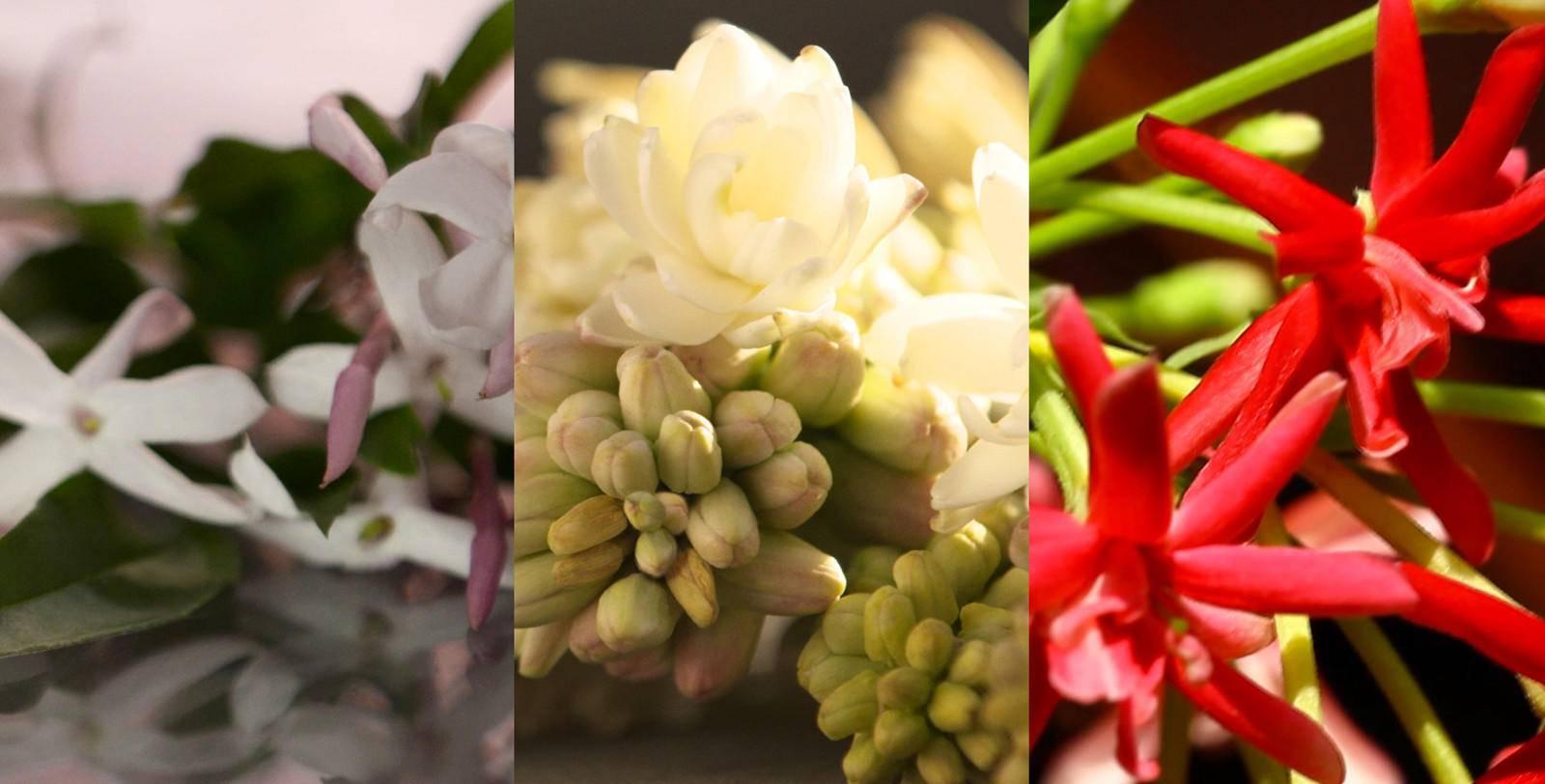 不喷香水的女人没有未来,你有香水,你有未来吗?