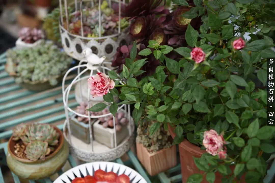 推开世界的门和自己和解,推开世界的门你所看到的风景