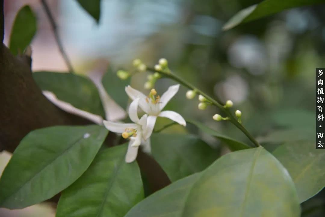 推开世界的门和自己和解,推开世界的门你所看到的风景