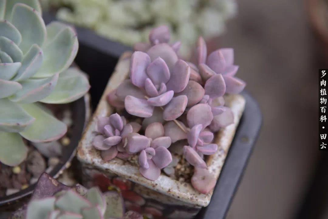 推开世界的门和自己和解,推开世界的门你所看到的风景