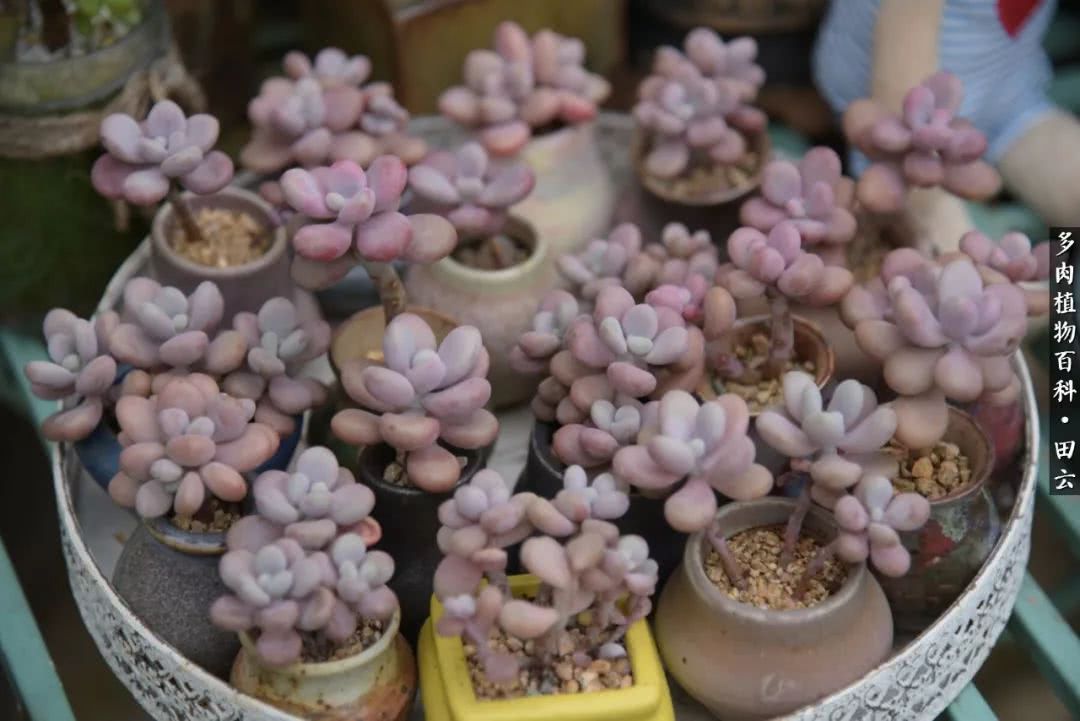 推开世界的门和自己和解,推开世界的门你所看到的风景