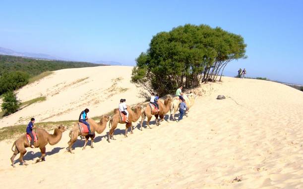 必去的绝美海岛,美哭的普吉岛完整版