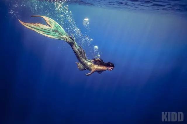 玩客说丨这里有一张东方“海盗”的藏宝图