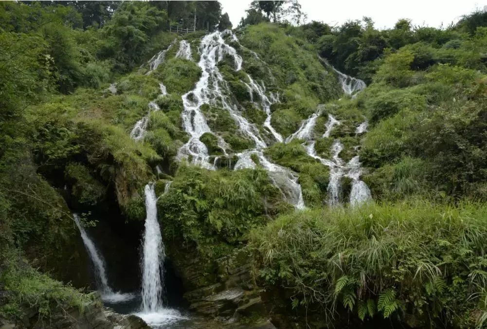 6月的贵州，简直要逼疯摄影师！