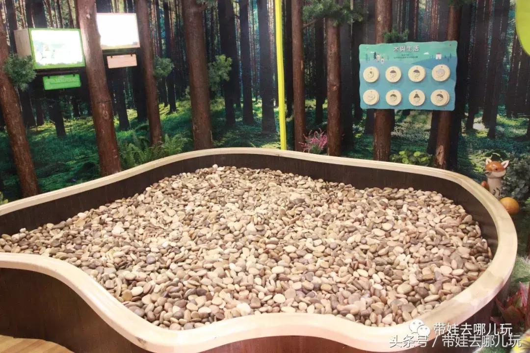 在这个木头打造的梦幻森林里，我找回了丢失已久的少女心