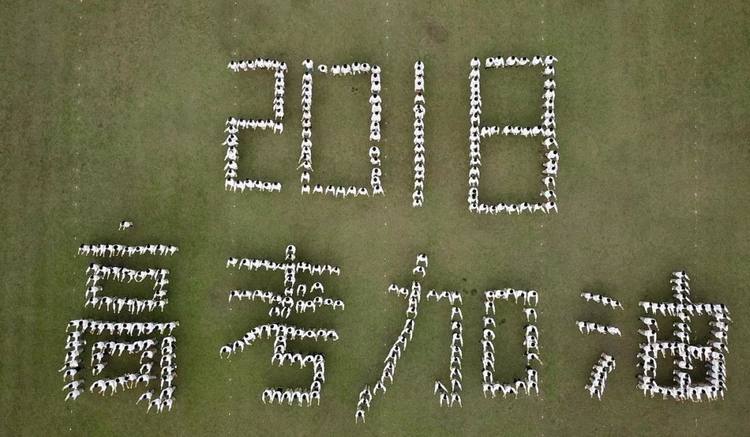 那些年一起追主题曲,那些年一起追女孩的音乐