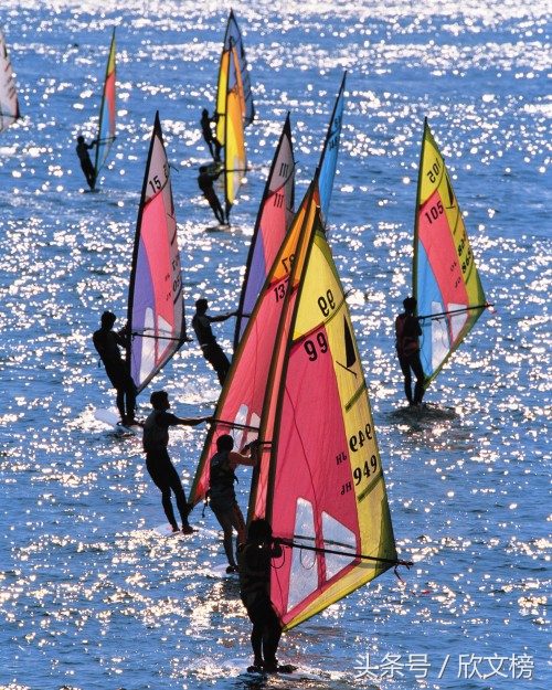 远航，扬起“上海精神”之帆