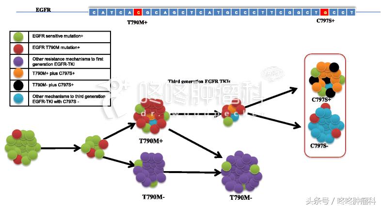 9291耐药效果,9291耐药表现