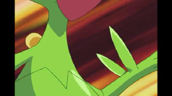 小智的神奇宝贝胜率,小智的所有神奇宝贝胜率