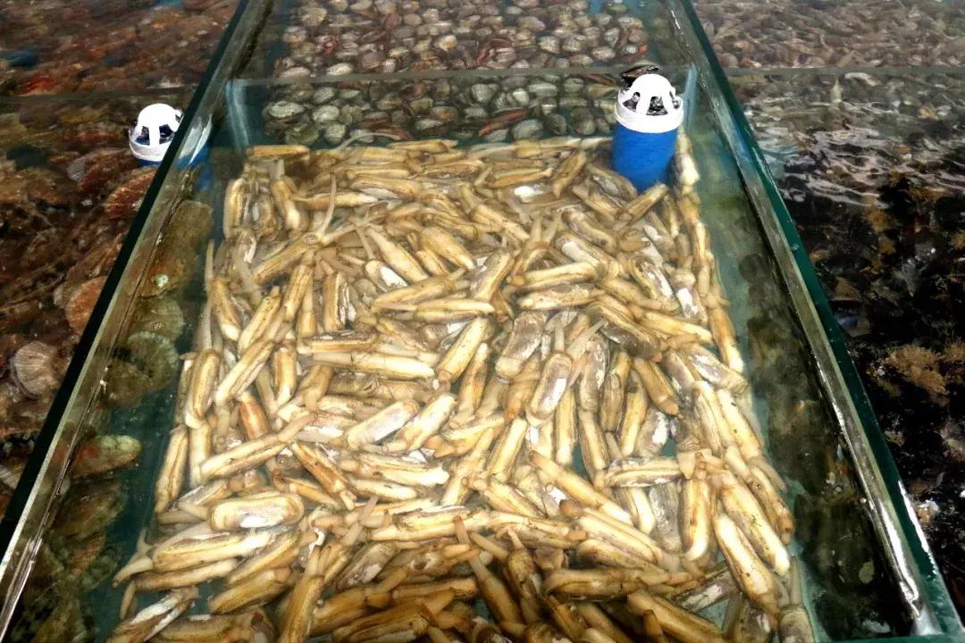 大泉沟海鲜美食街,大泉沟美食街7号