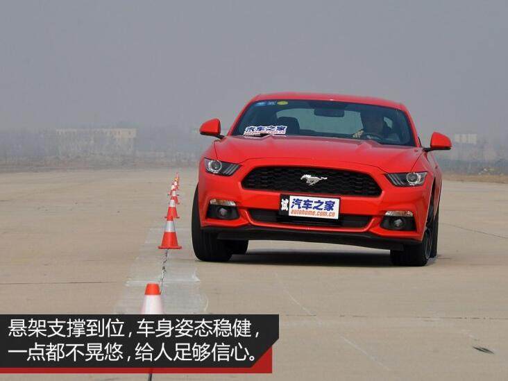 网友：力顶小野马，直喷奥迪宝马 玩脑筋急转弯？