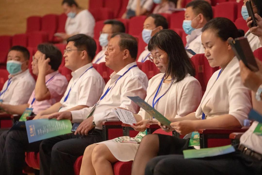 一个小城的夏天,夏天的城市处处都很治愈