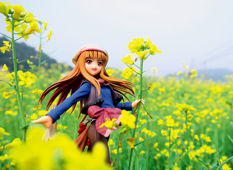 萌妹子手办开箱测评,手办外拍