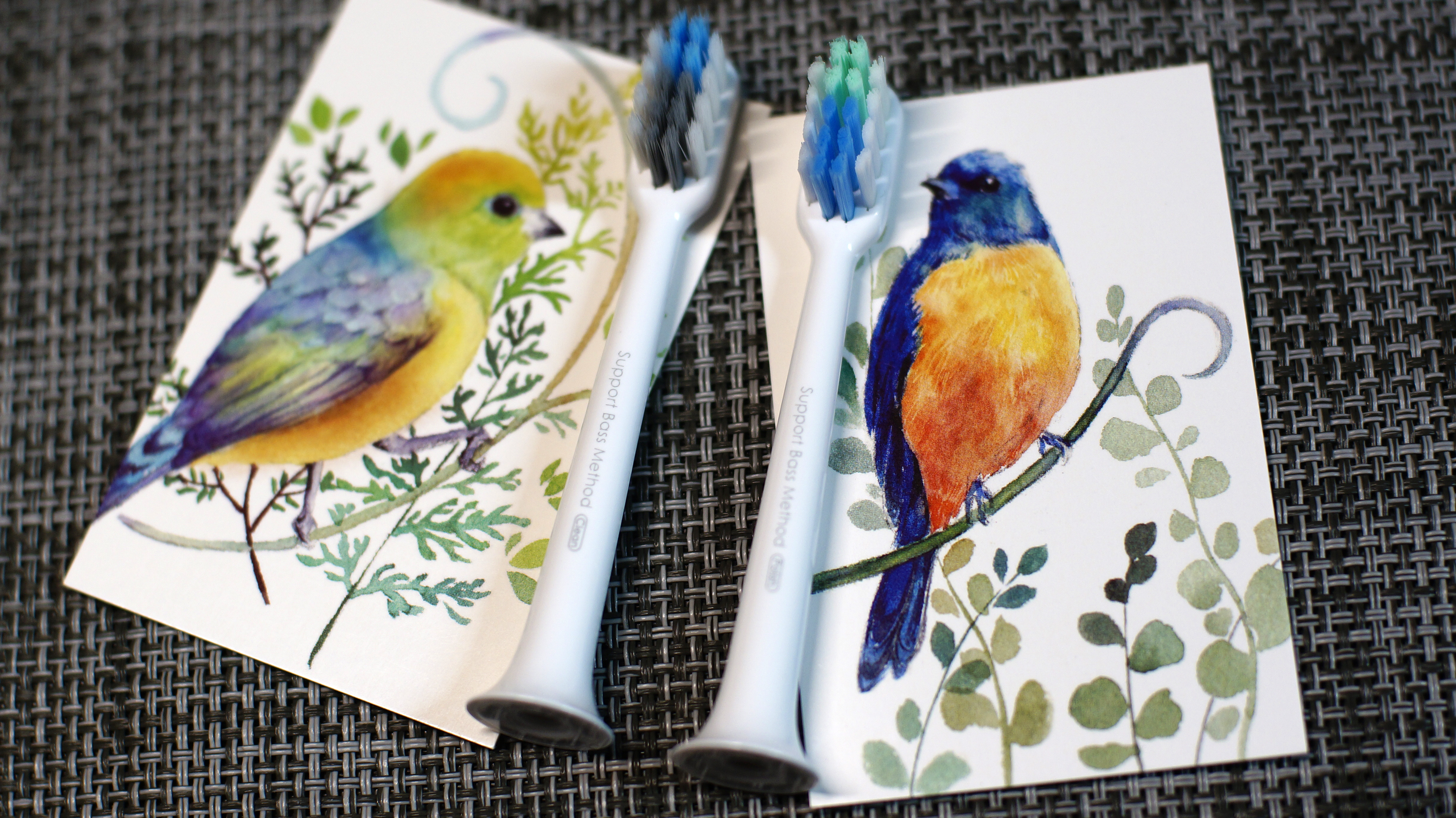 牙刷美牙神器推荐声波,推荐一款牙医认可的声波电动牙刷